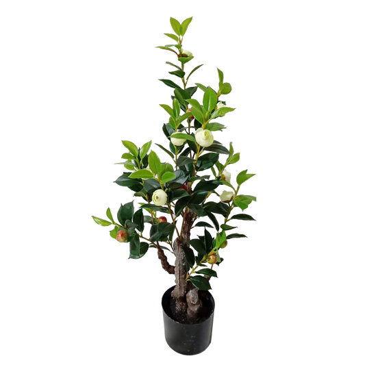 KD4837-Green Camellia-H80cm