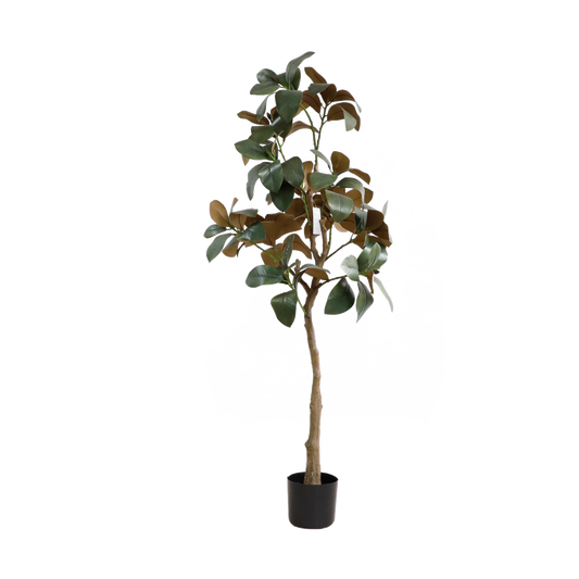 KD4838-Magnolia tree-H160cm