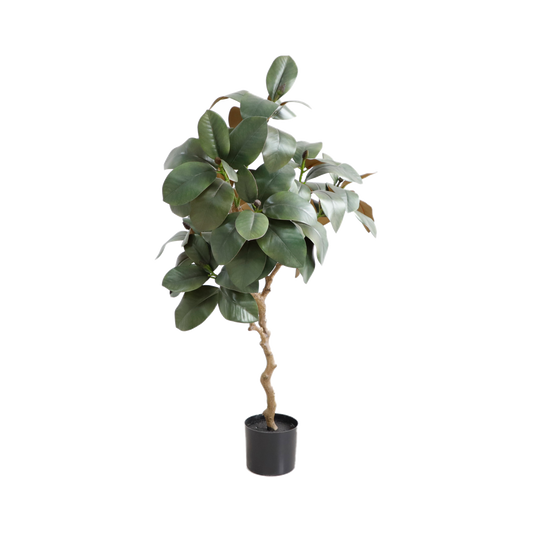 KD4839-Magnolia tree-H120cm