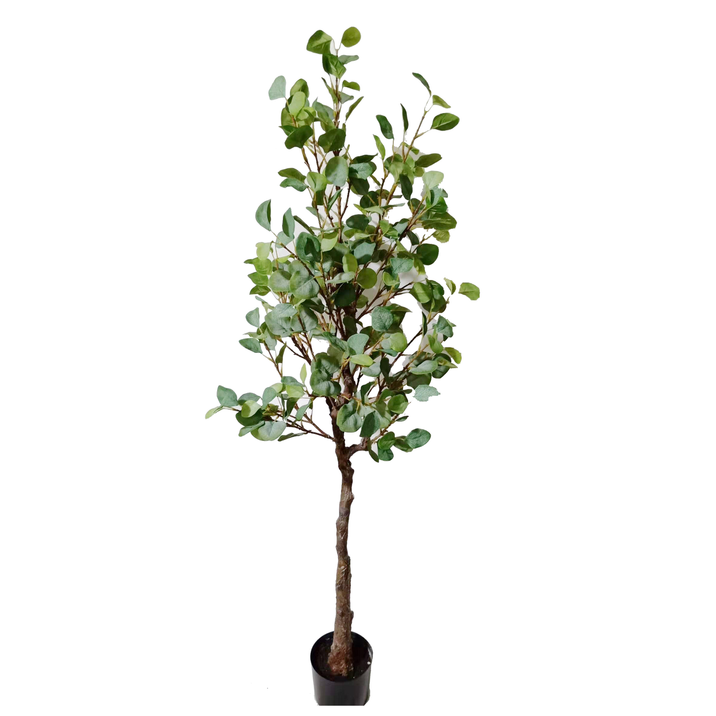 KD4841-Eucalyptus Tree-H160cm