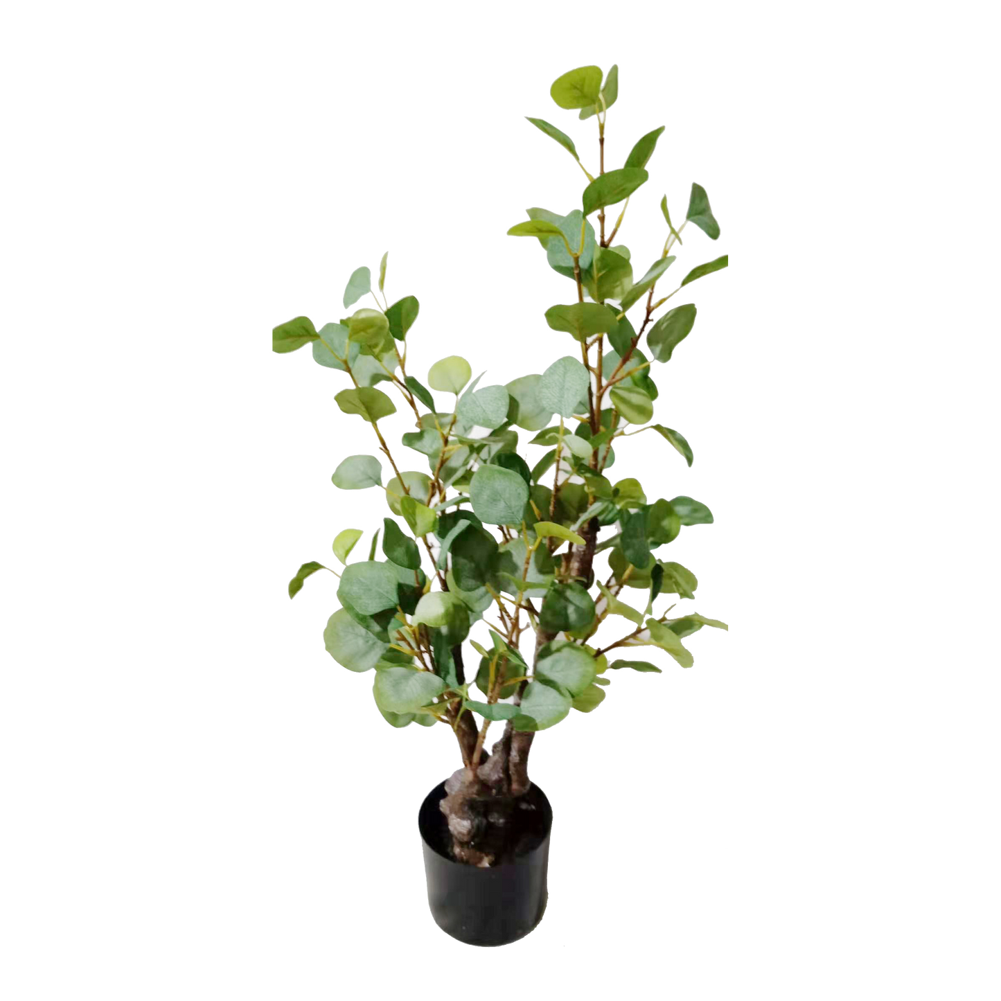 KD4842-Eucalyptus Tree-H80cm