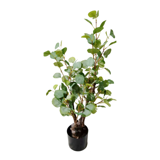 KD4842-Eucalyptus Tree-H80cm