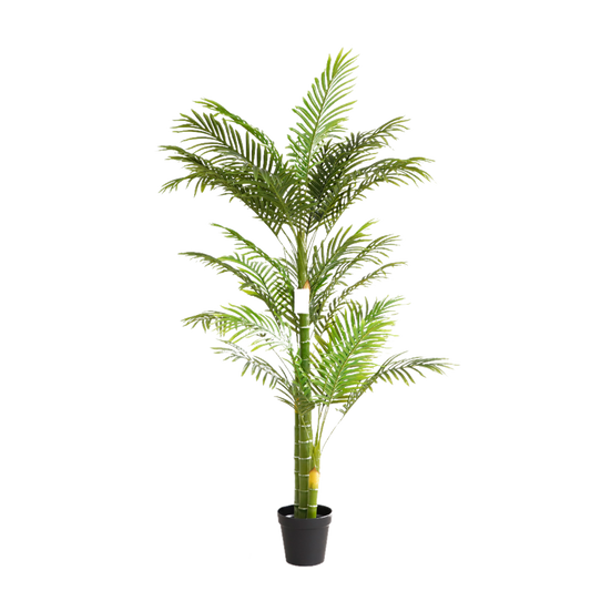 KD5503-Palm tree-H180cm