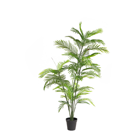 KD5509-Palm tree-H180cm