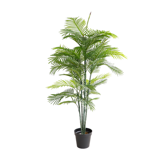 KD5511-Palm tree-H165cm