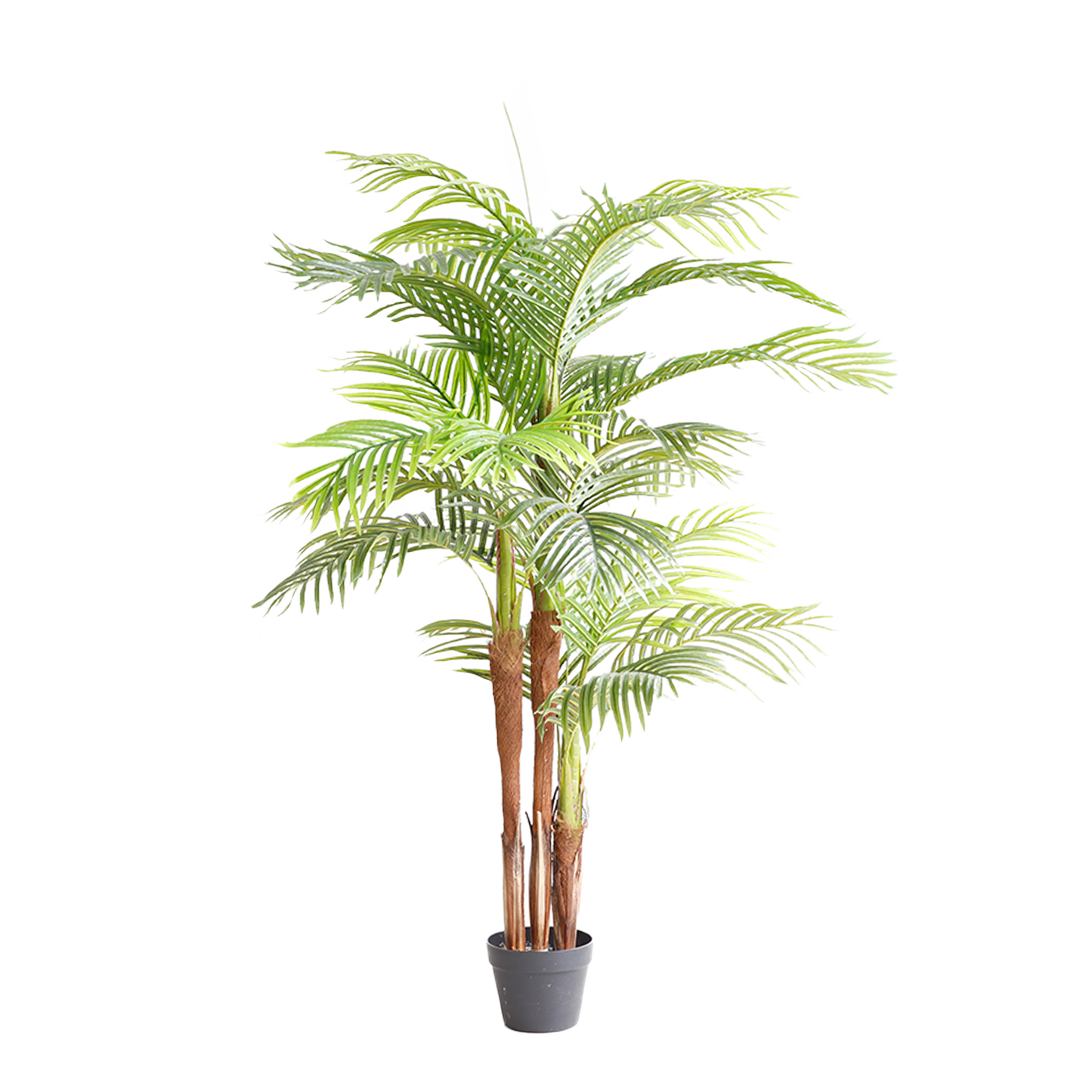 KD5512-Palm tree-H150cm
