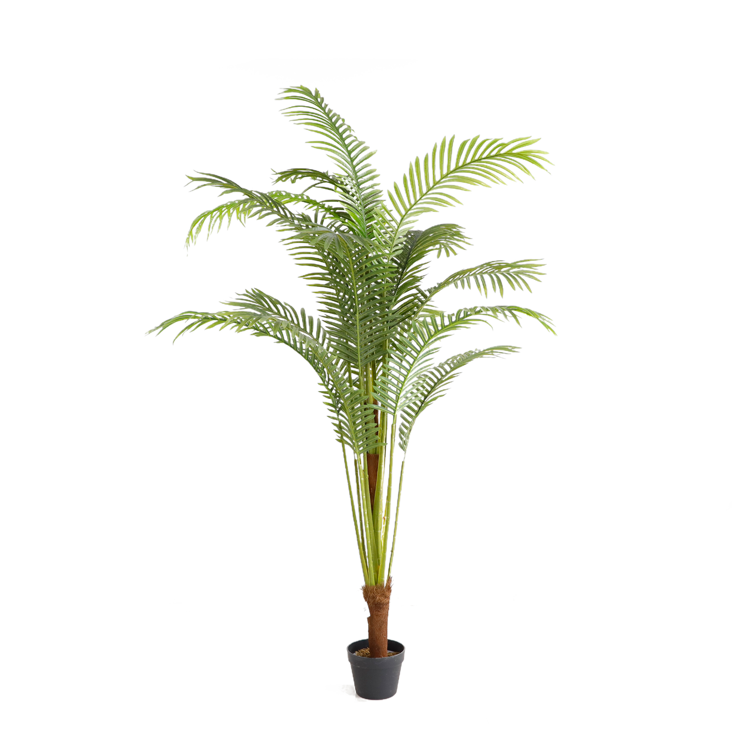 KD5513-Palm tree-H180cm
