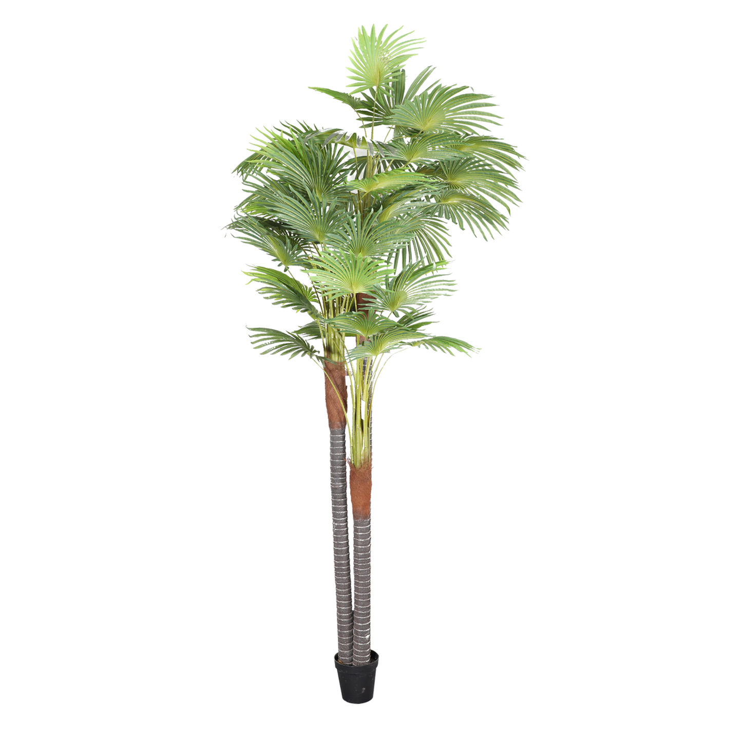 KD5515-Palm tree-H300cm