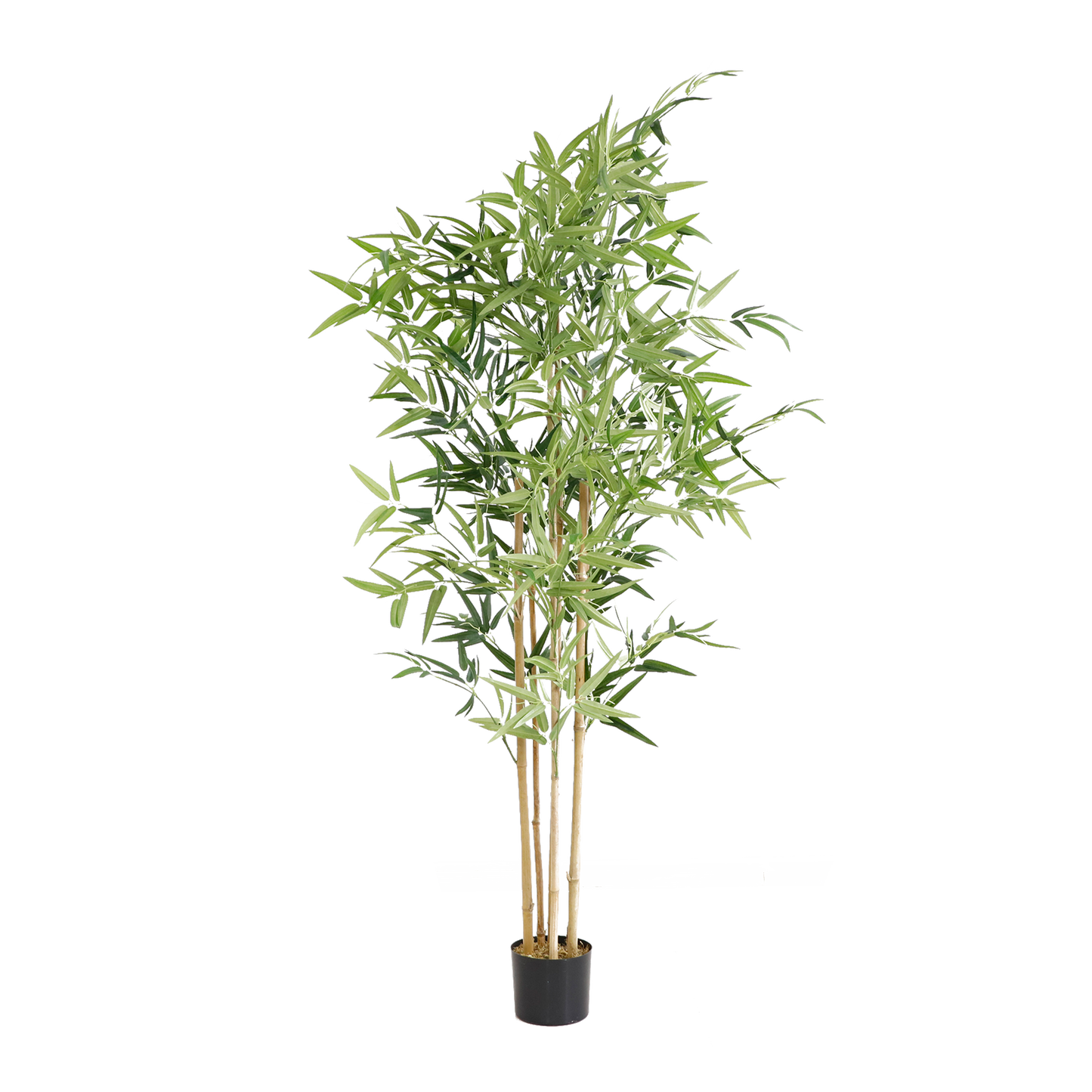 KD5800-Bamboo-H180cm