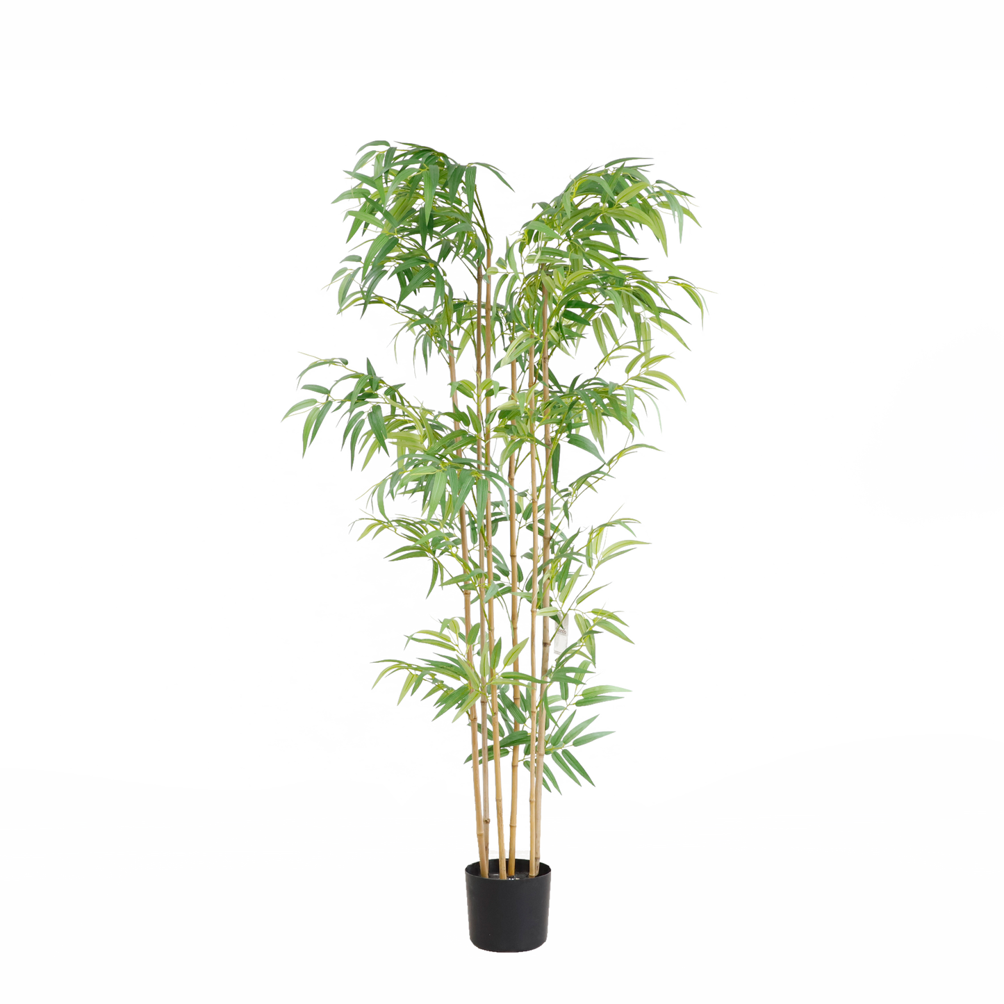 KD5801-Bamboo -H150cm