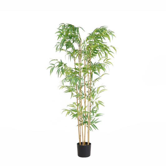 KD5801-Bamboo -H150cm