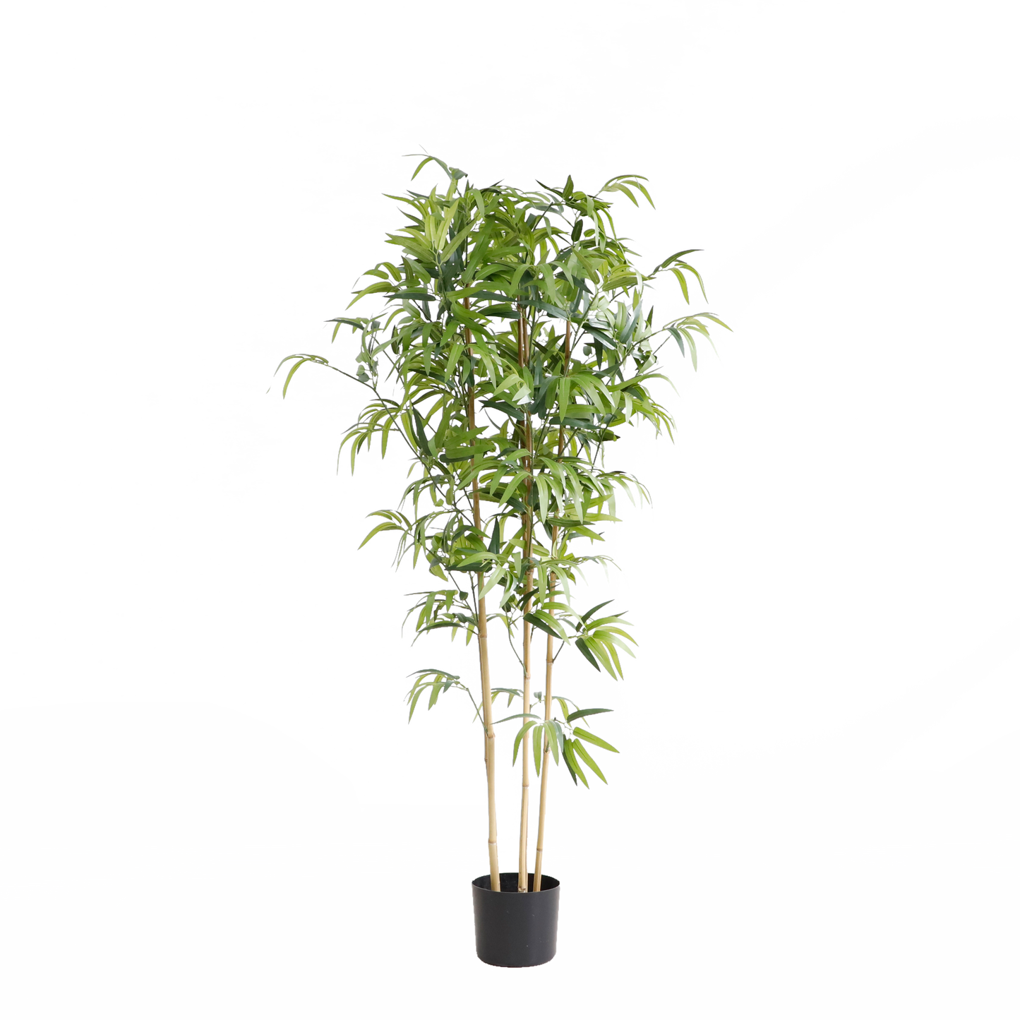 KD5802-Bamboo -H150cm