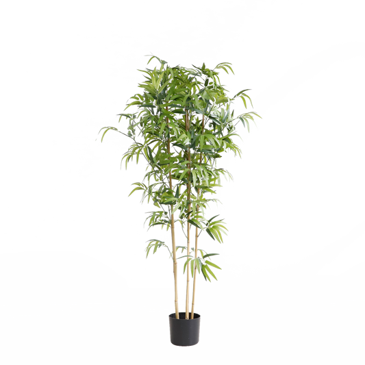 KD5802-Bamboo -H150cm