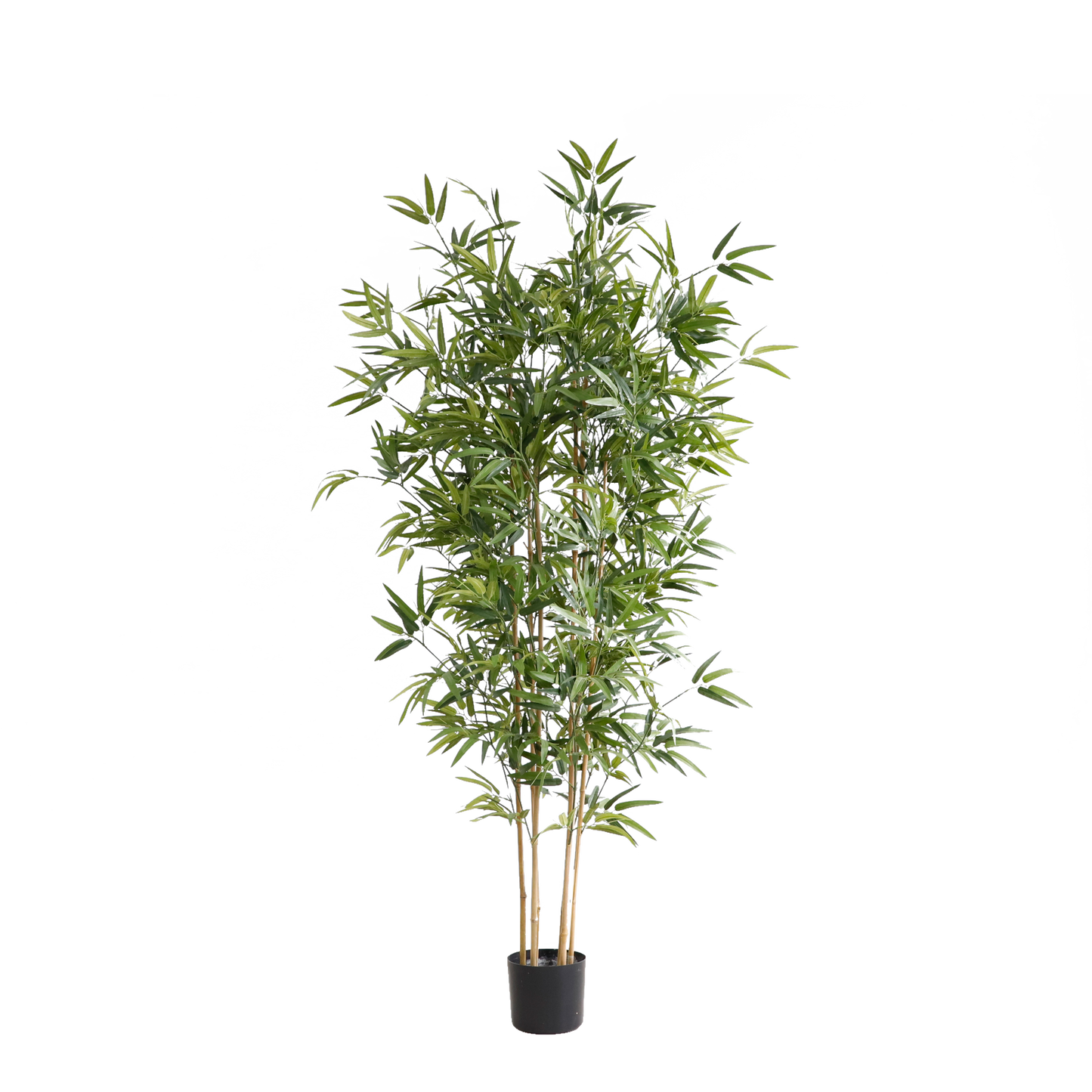 KD5802-Bamboo -H180cm