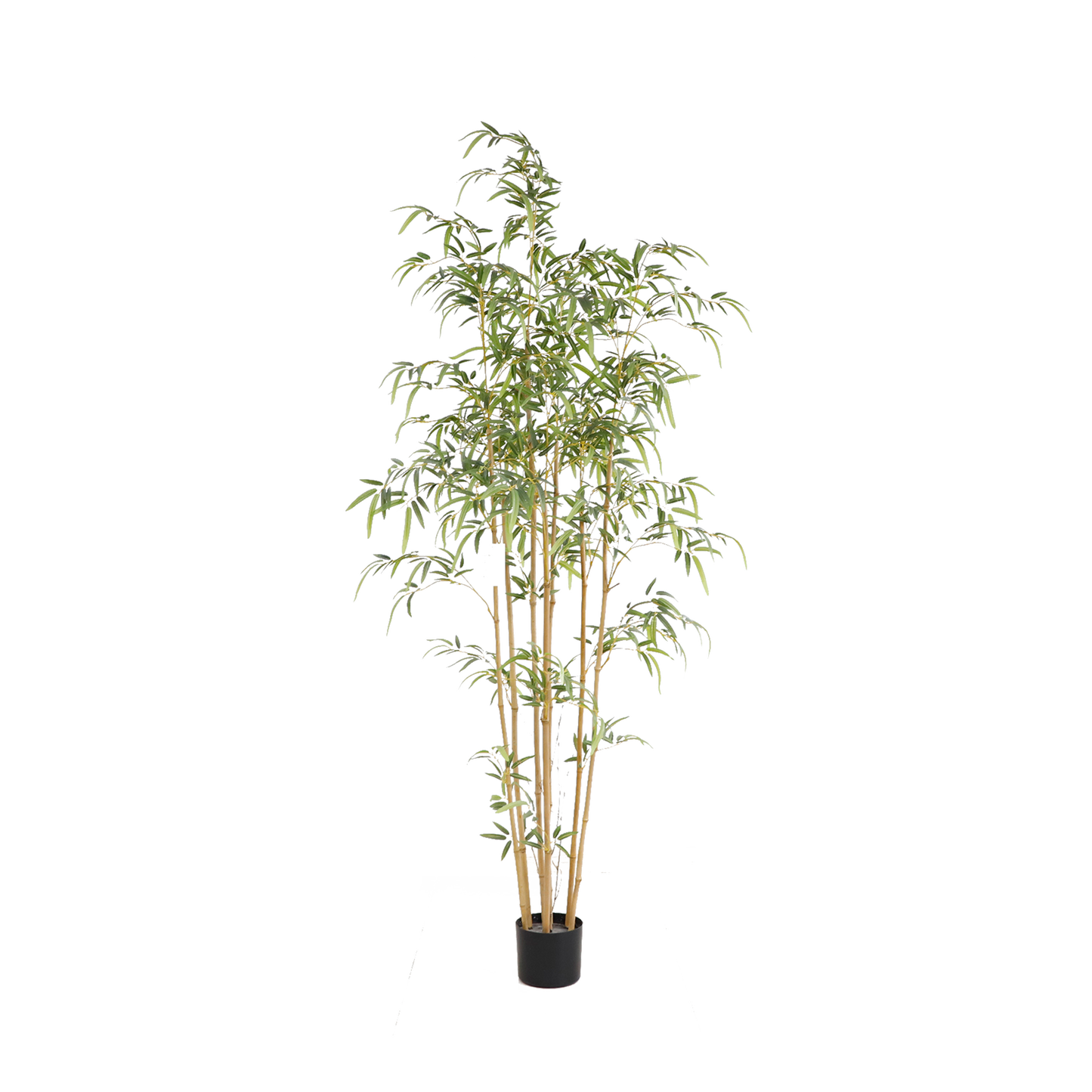 KD5804-Bamboo -H180cm