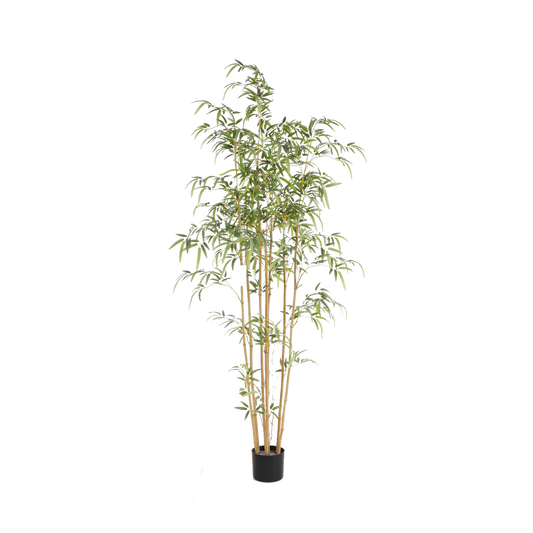 KD5804-Bamboo -H180cm