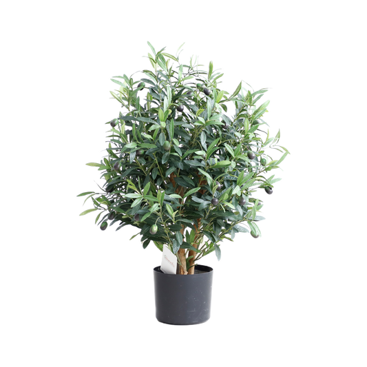 KD5805-Olive Tree-H65cm