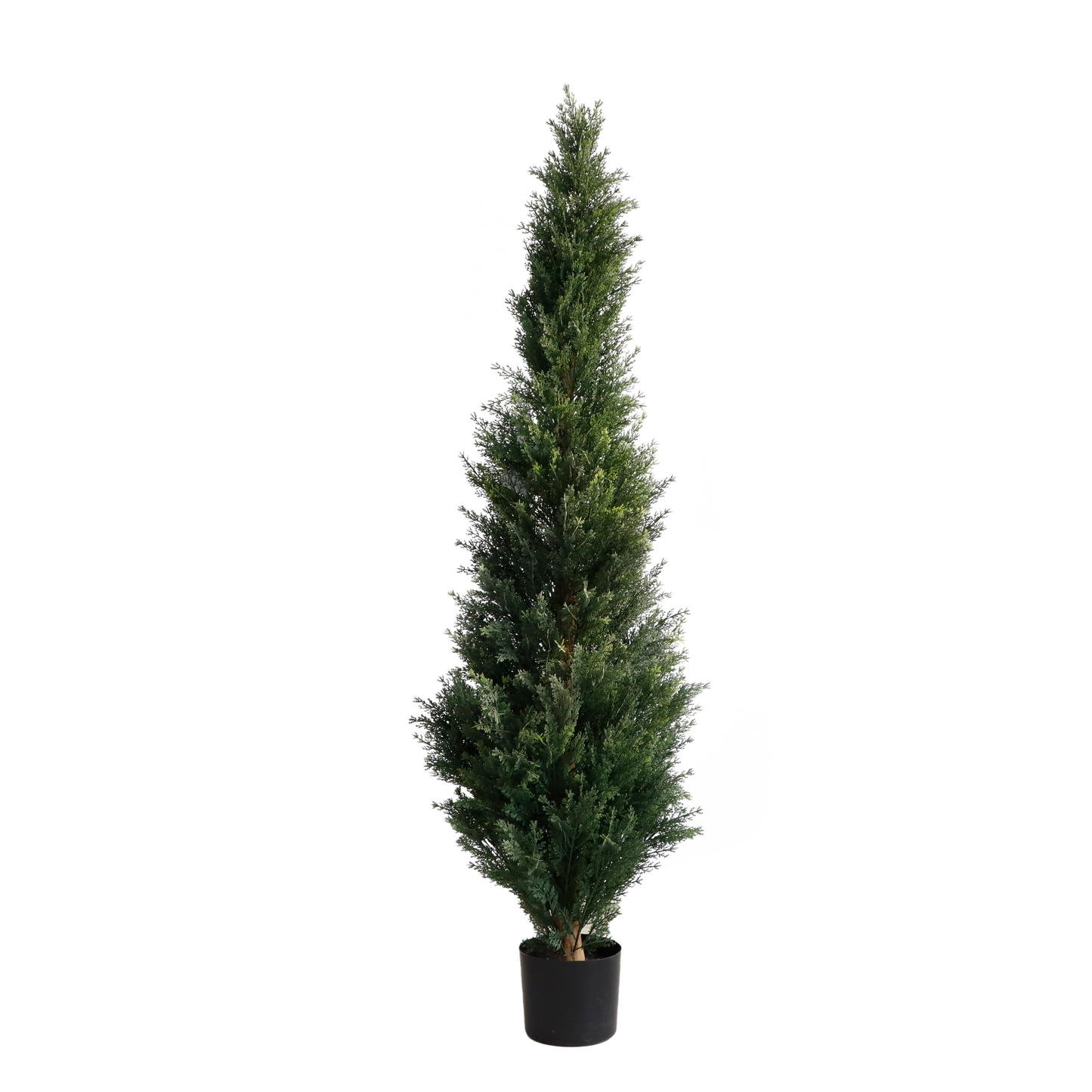KD5812-Cypress tree-H150cm