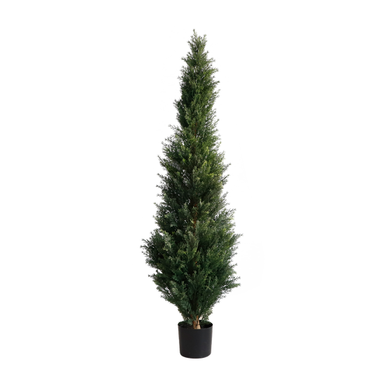KD5812-Cypress tree-H150cm