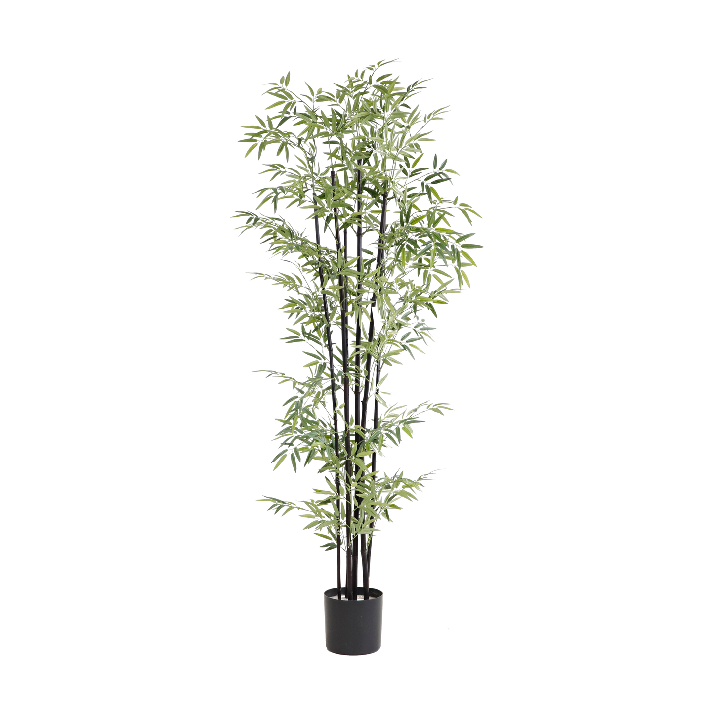 KD6315-Bamboo-H183cm