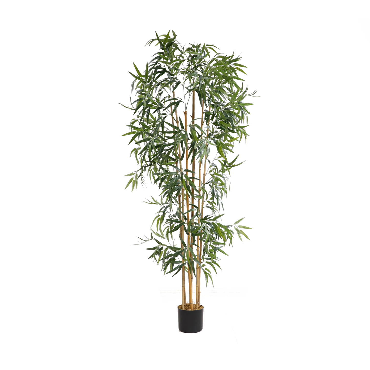 KD6316-Bamboo-H183cm