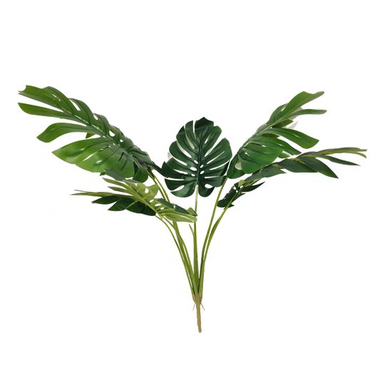 KD6317-  Monstera without pot-H88cm