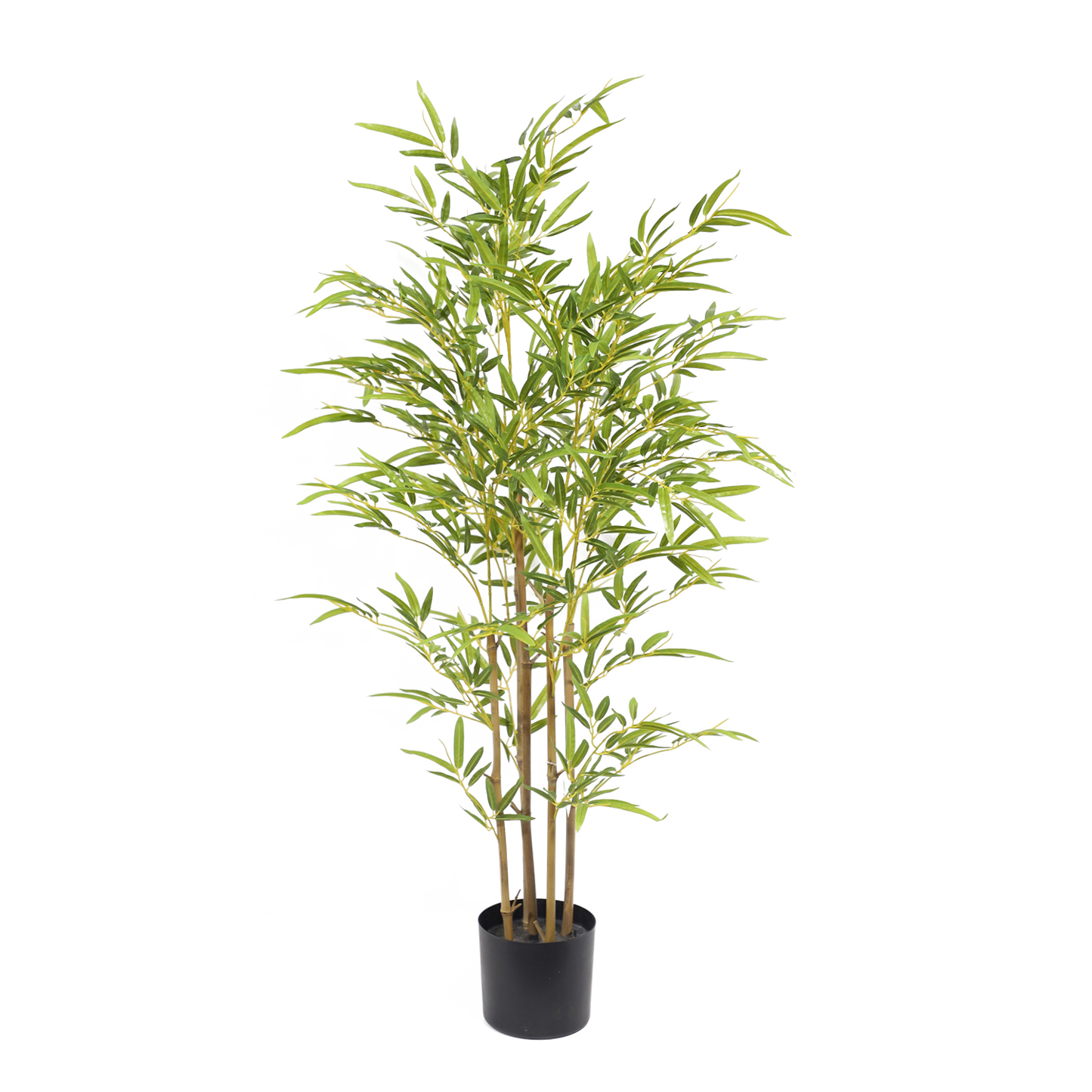 KD6319-Bamboo-H120cm