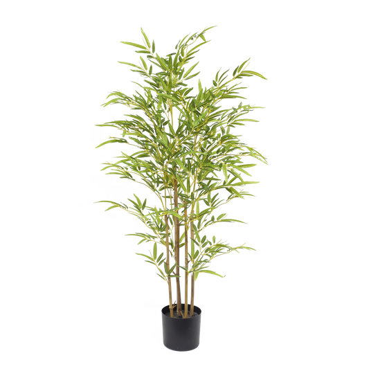 KD6319-Bamboo-H120cm