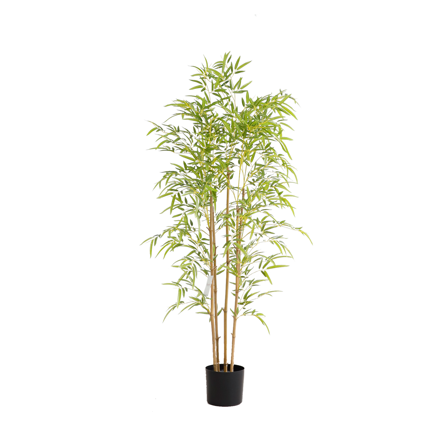 KD6320-Bamboo-H150cm