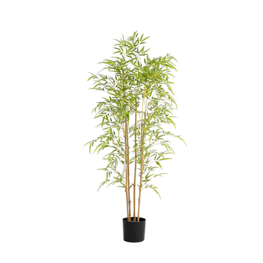 KD6320-Bamboo-H150cm