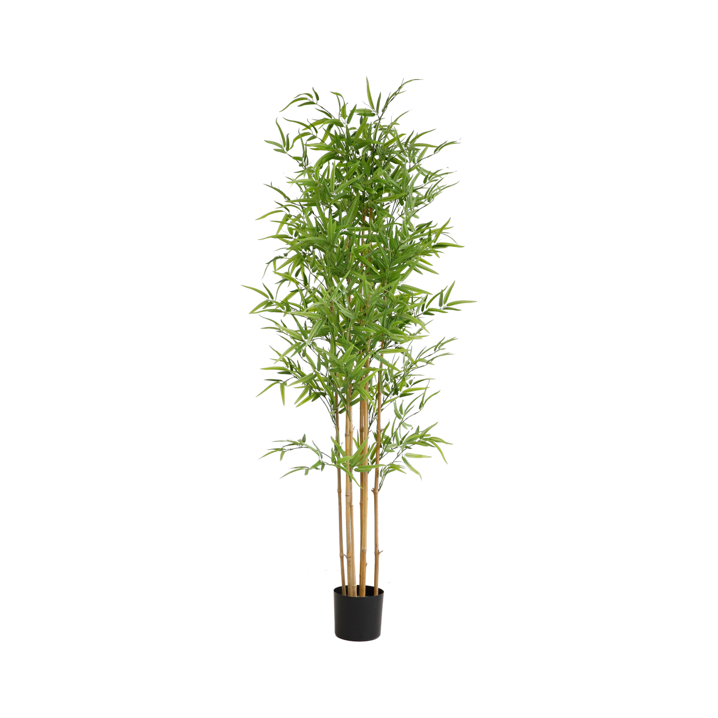 KD6321-Bamboo-H180cm