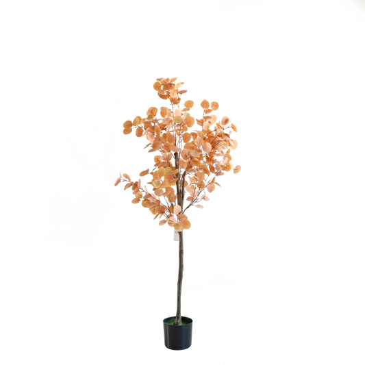 KD6323-Eucalyptus Tree-H150cm