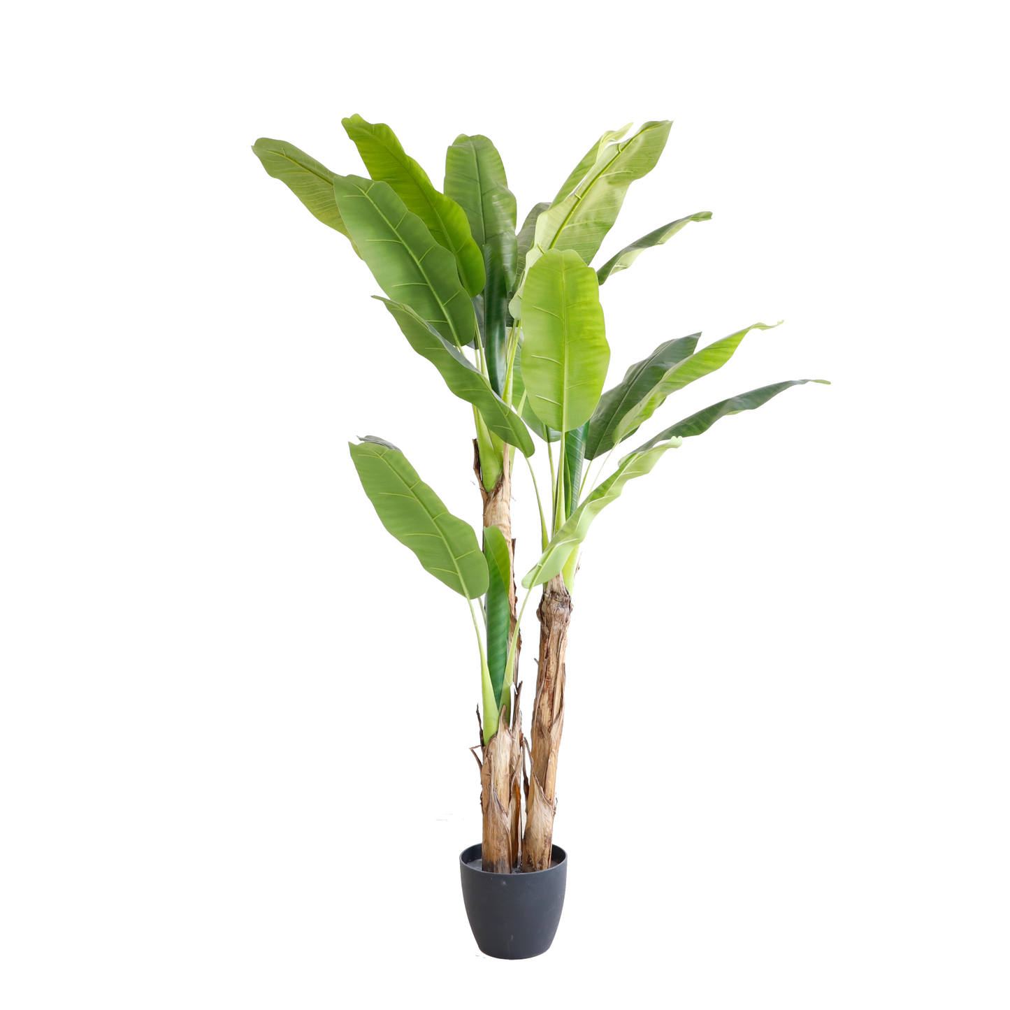 KD6327-Banana tree-H180cm