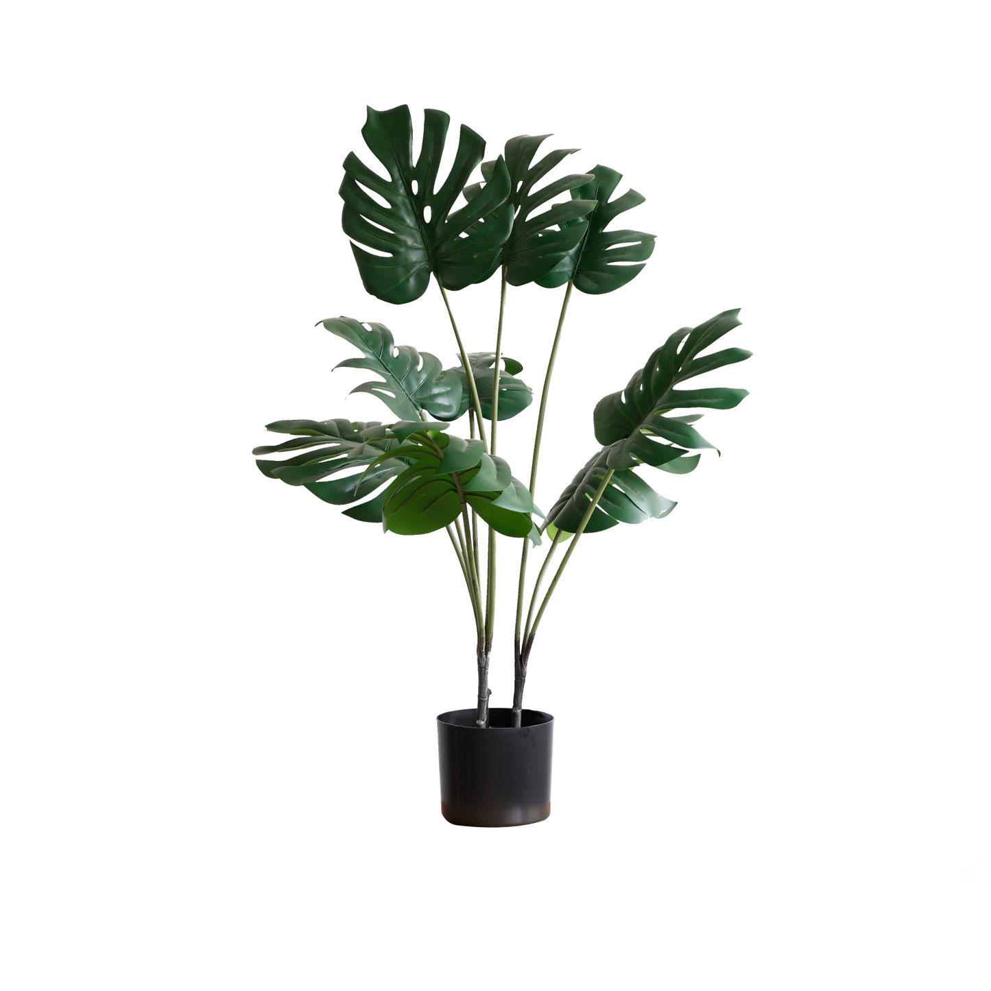 KD6328-Monstera-H90cm