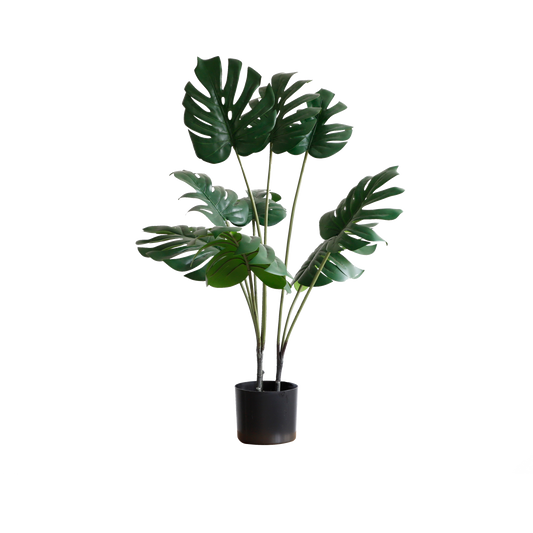 KD6328-Monstera-H90cm
