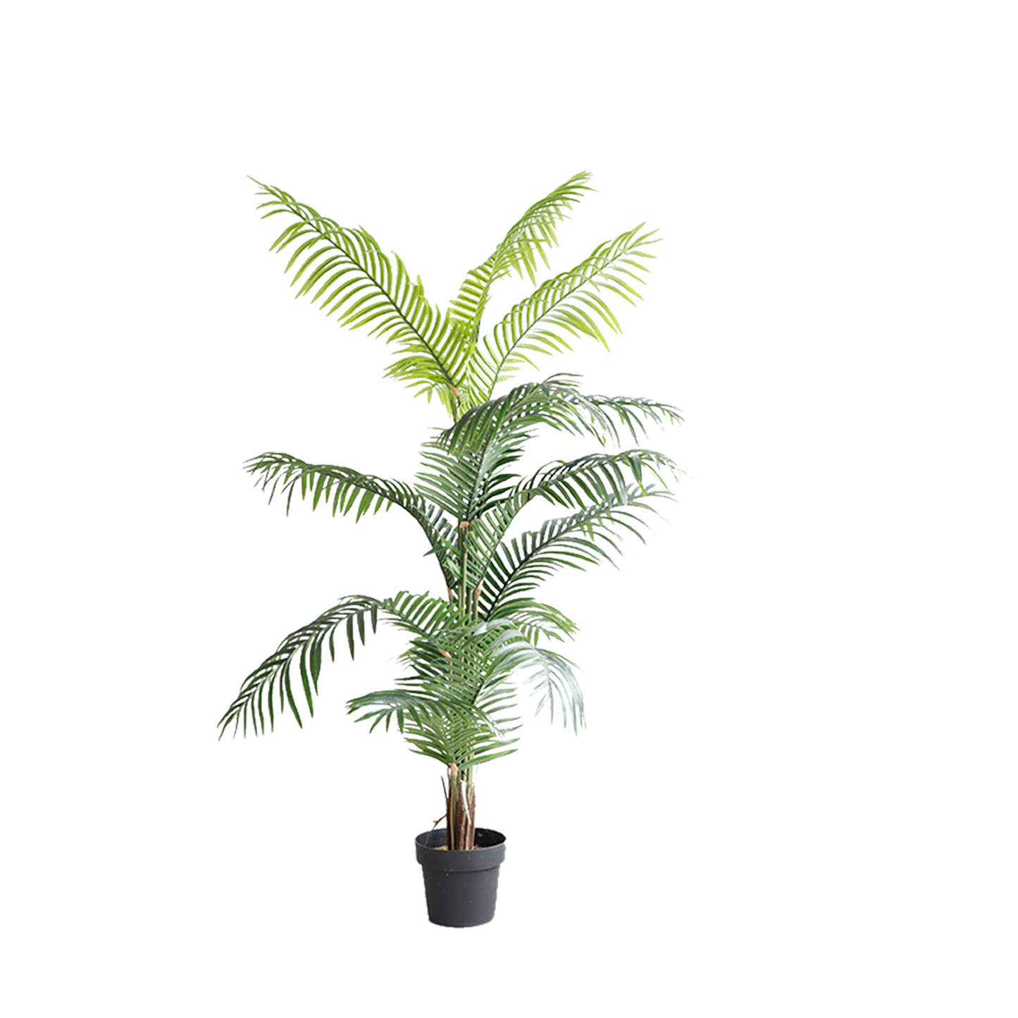 KD7306-Palm tree-H180cm