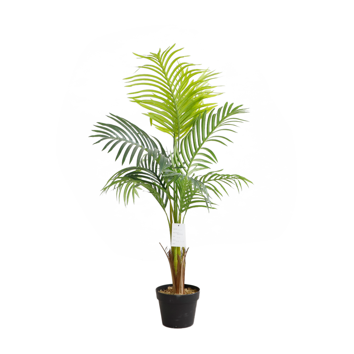 KD7310-Palm tree-H115cm