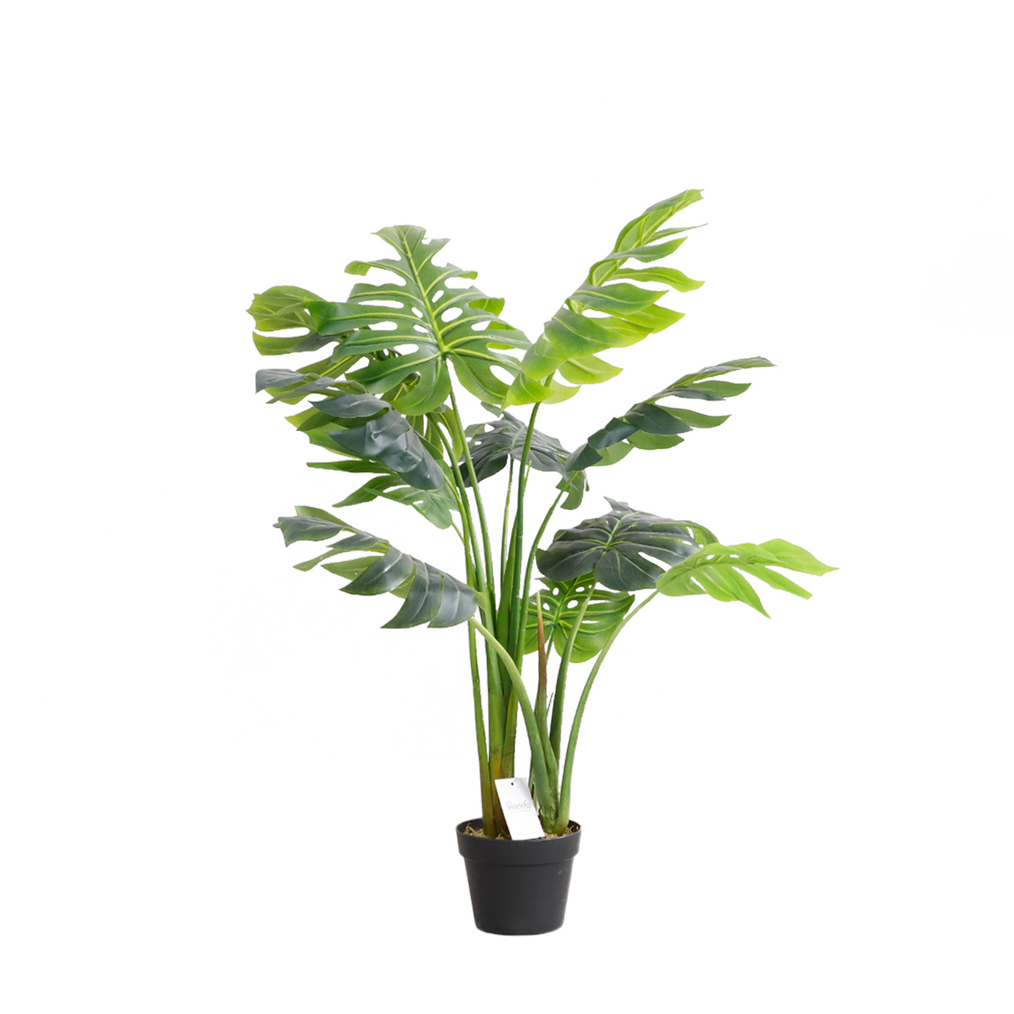 KD7312-Monstera-H110cm