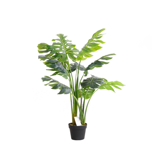 KD7312-Monstera-H110cm