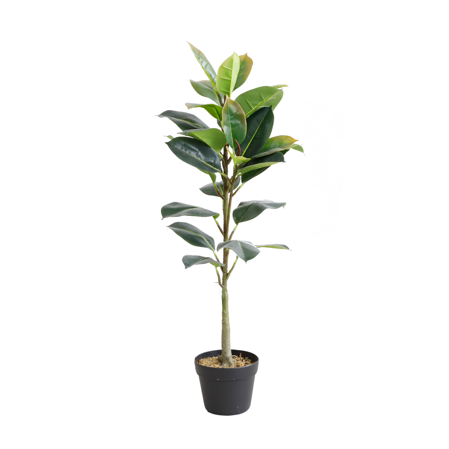 KD7320-Oak Tree-H100cm