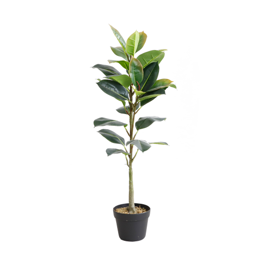 KD7320-Oak Tree-H100cm