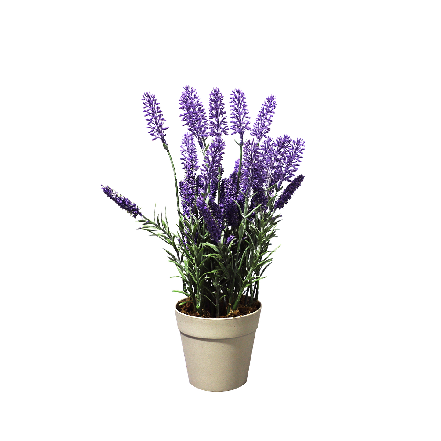 KD7321-lavender-H34cm