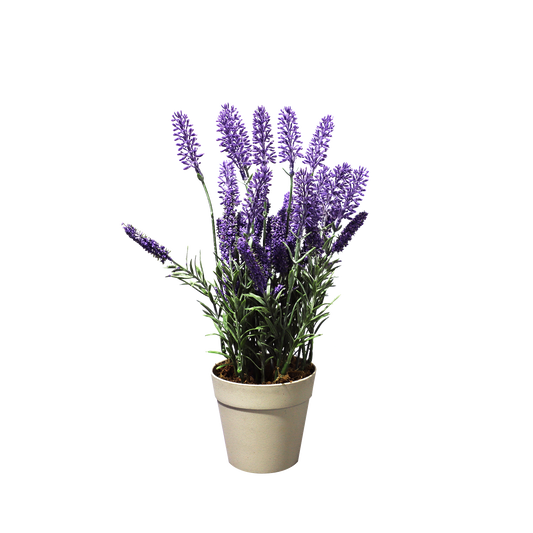 KD7321-lavender-H34cm