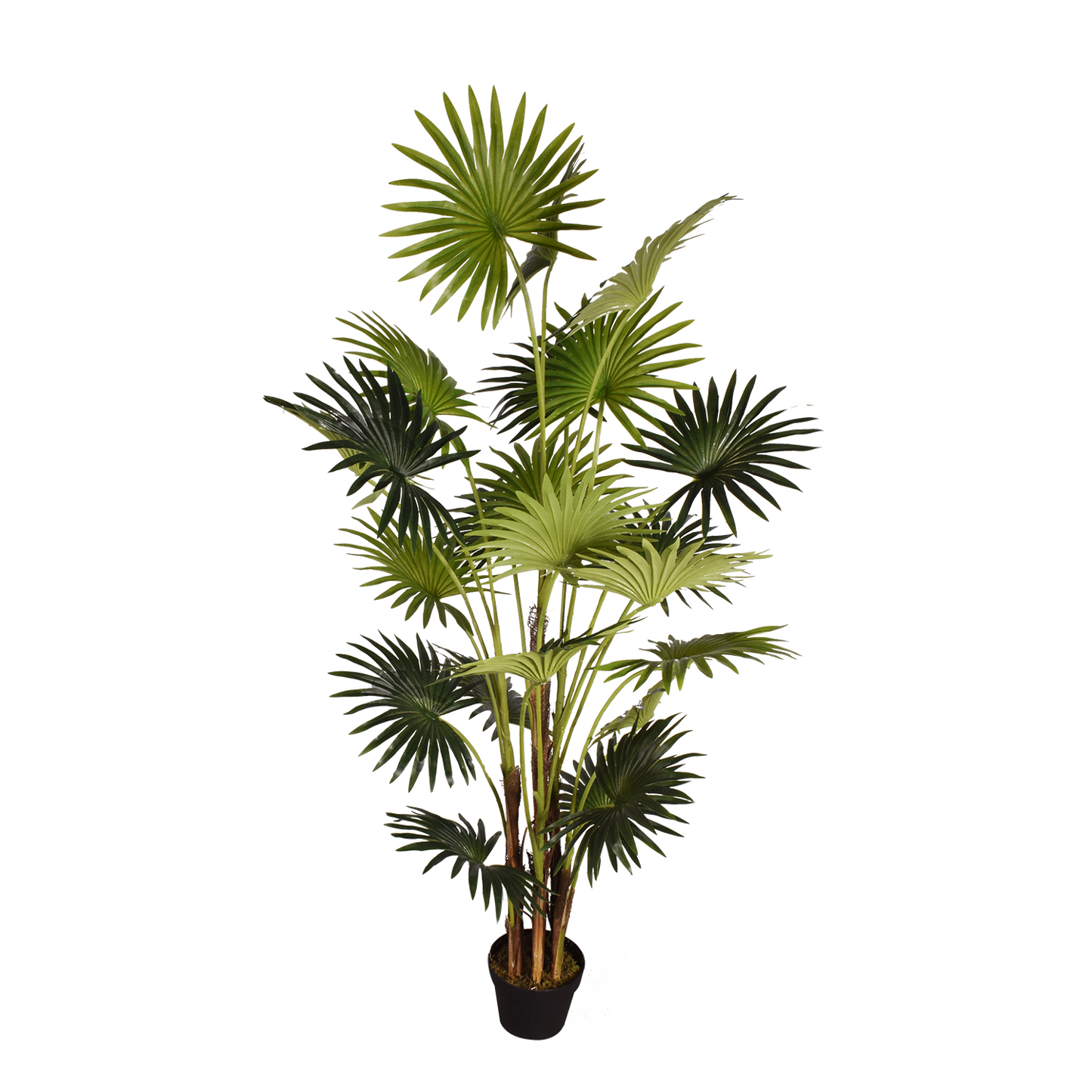 KD7328-Palm tree-H160cm