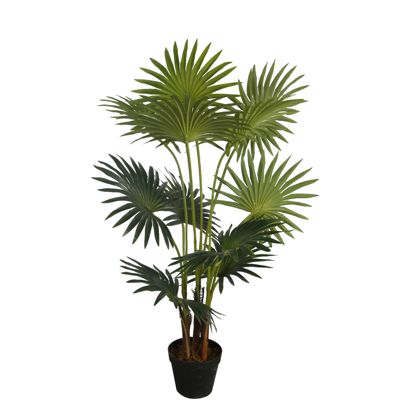 KD7329-Palm tree-H100cm