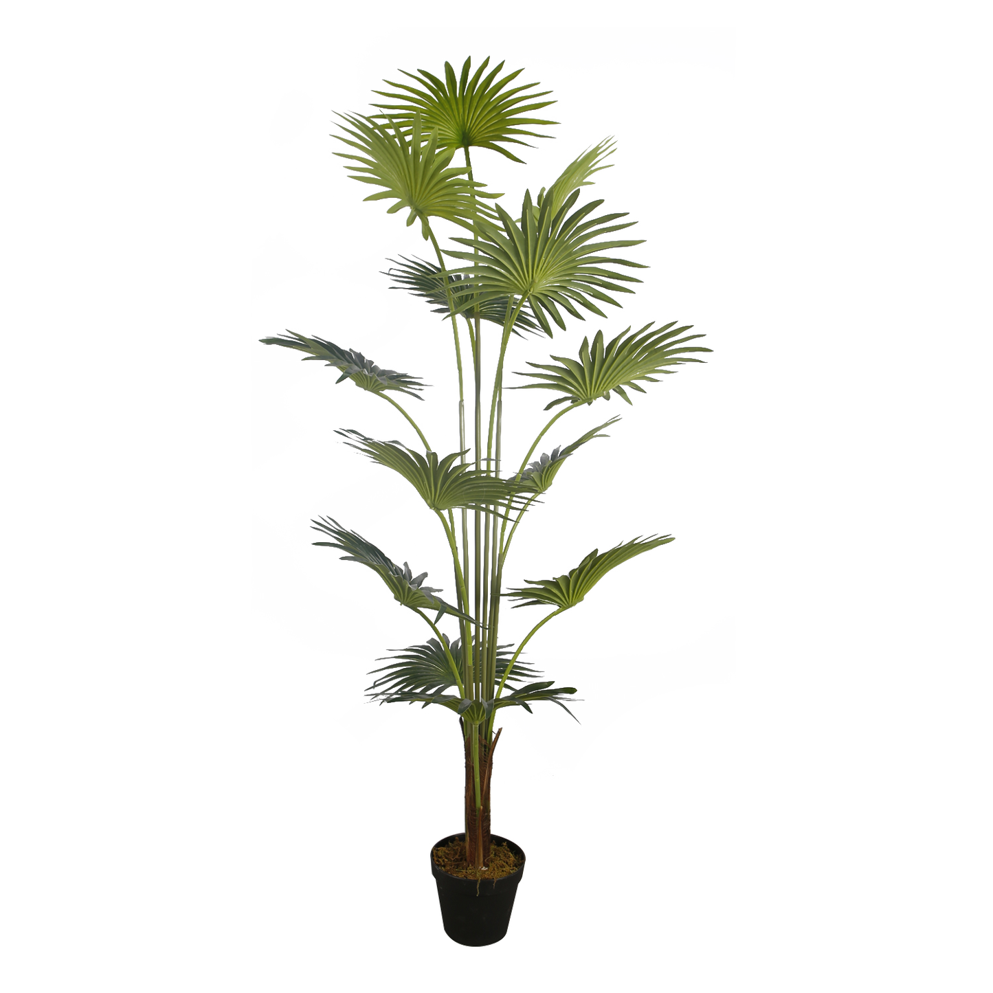 KD7330-Palm Tree-H150cm