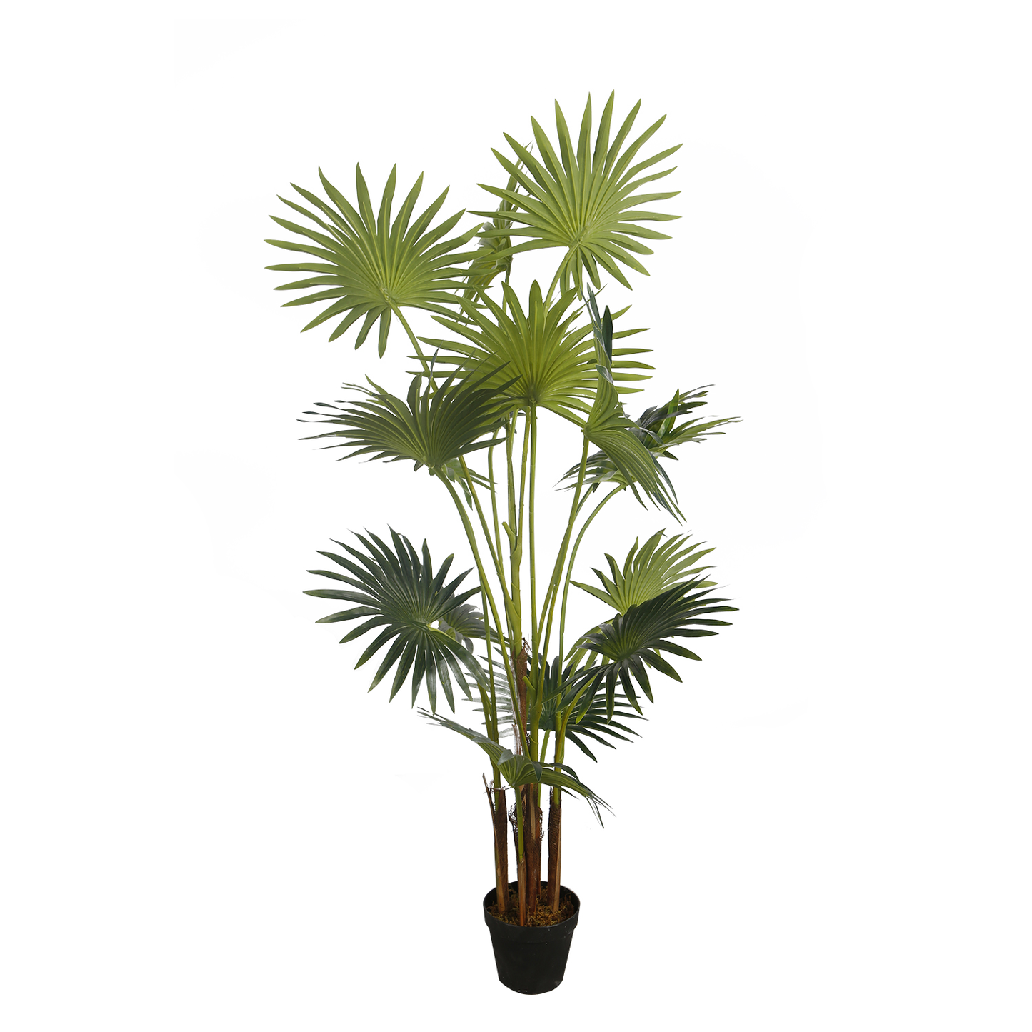 KD7331-Palm Tree-H130cm