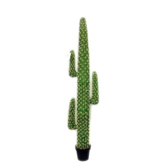 KD9055-Cactus in plastic pot -H170cm