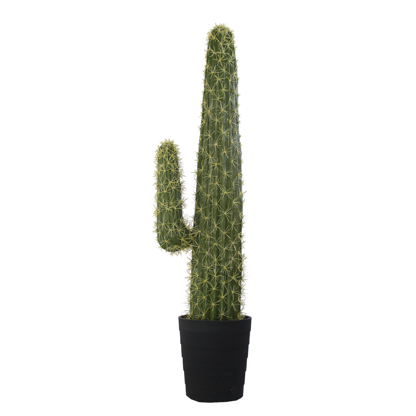 KD9055-Cactus in plastic pot -H100cm