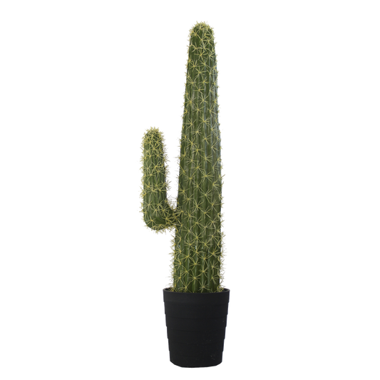 KD9055-Cactus in plastic pot -H100cm